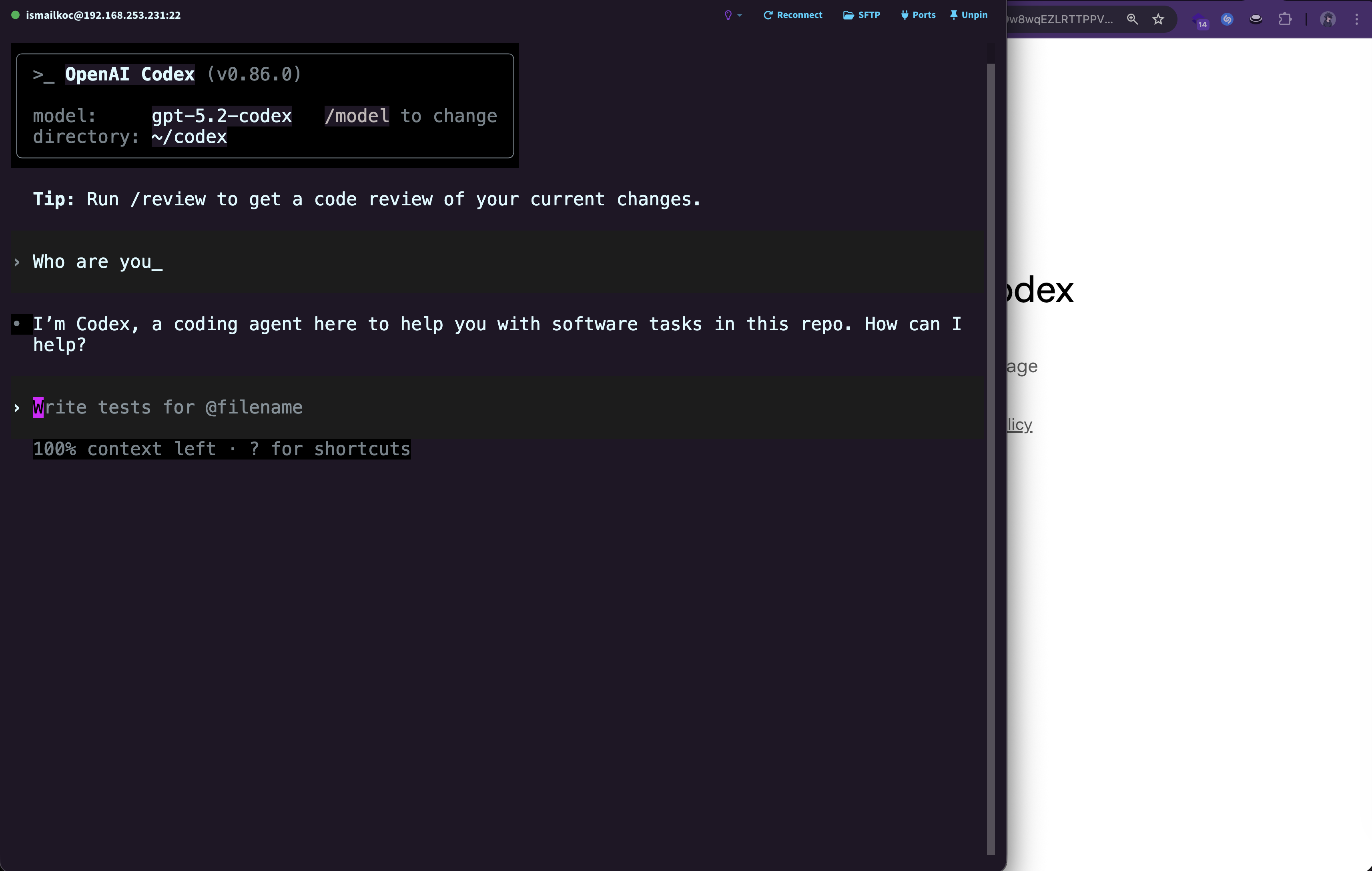 Testing codex after authentication