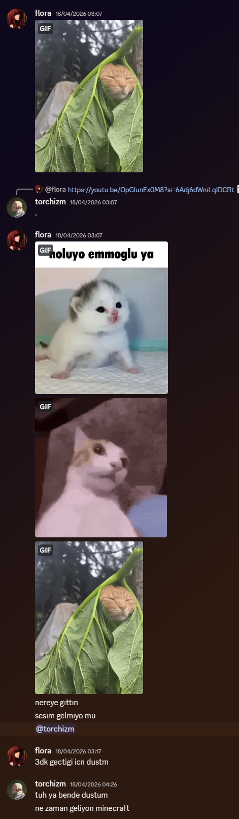 she asked me where i gone after i quit discord